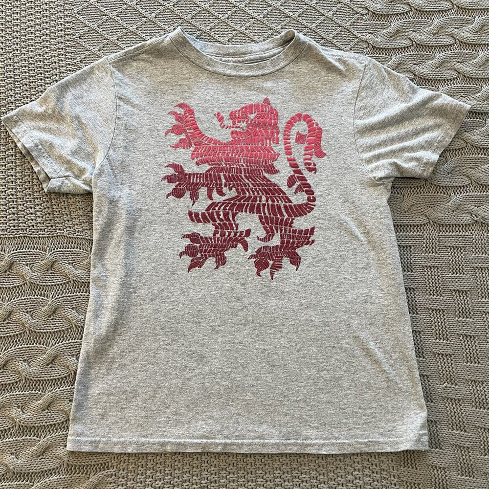 Harry Potter Gryffindor Tee ~ S (6)